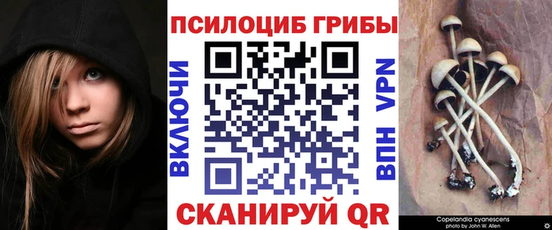 Галлюциногенные грибы Cubensis наркота Заполярный
