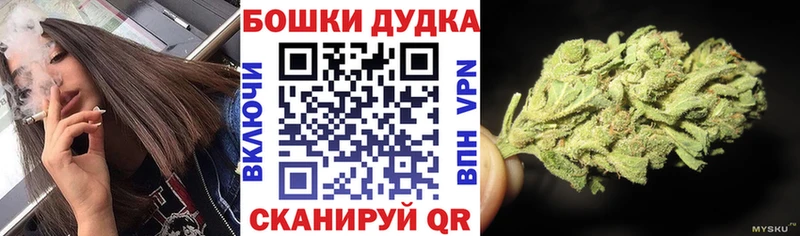Канабис конопля Заполярный